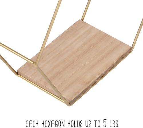 Honey-Can-Do Hexagonal Gold Wall Shelves Set