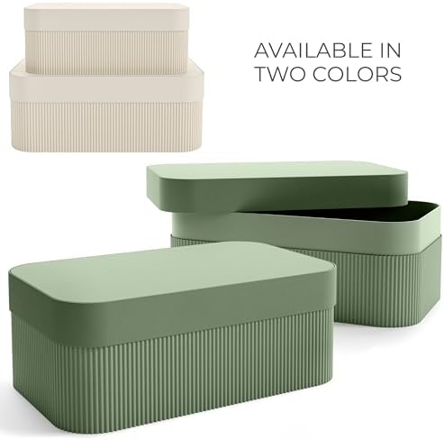 ZICOTO Decorative Storage Boxes with Lids Set of 2