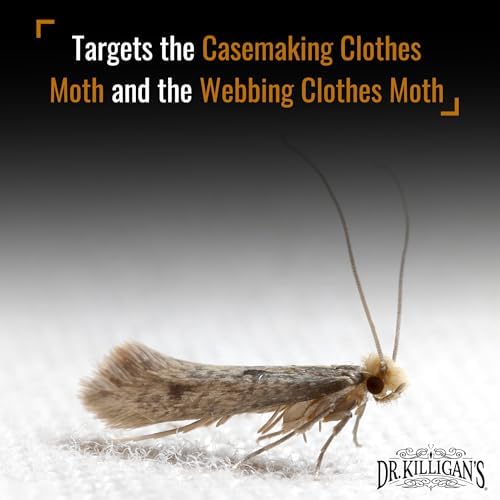 Dr Killigans Premium Double Potent Moth Traps with Pheromones 6 Pack