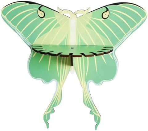 Butterfly Wall Shelf Storage Rack 1Pcs Wooden Green Butterfly Hanging Display Shelf for Stones Candles and Necklaces