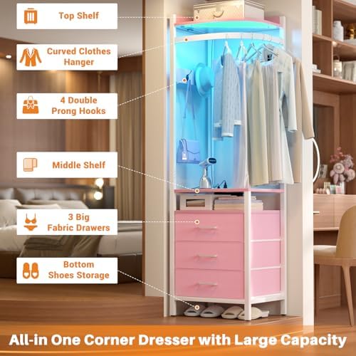 Cyclysio Corner Clothes Rack with Hanging Rack and LED Lights