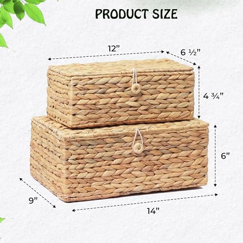 Set of 2 Rectangular Wicker Storage Bins with Lid