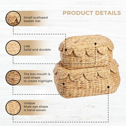 Round Wicker Storage Baskets with Lid Set of 2