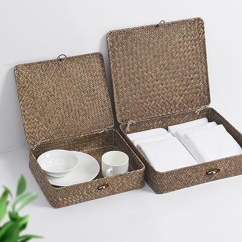 FOSSORH Set of 2 Flat Seagrass Storage Bins with Lid