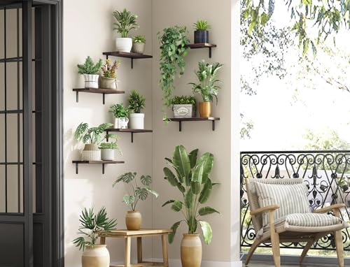 Fixwal Wood Floating Shelves - Set of 6 for Bedroom and Bathroom
