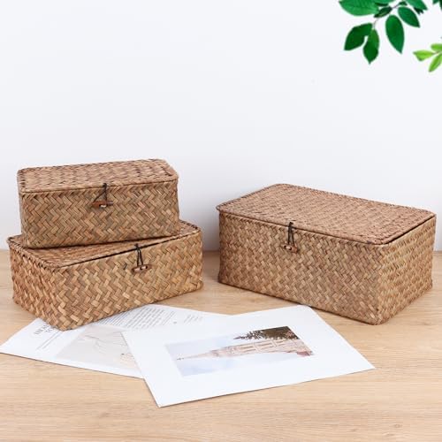 FEILANDUO Wicker Shelf Baskets with Lid 1