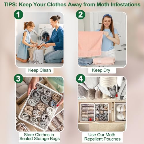 10 Pack Natural Moth Repellent Pouches