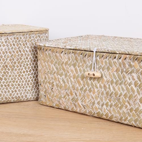 FEILANDUO Wicker Shelf Baskets with Lid