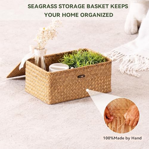 Nonam Handwoven Seagrass Storage Bin Set of 3