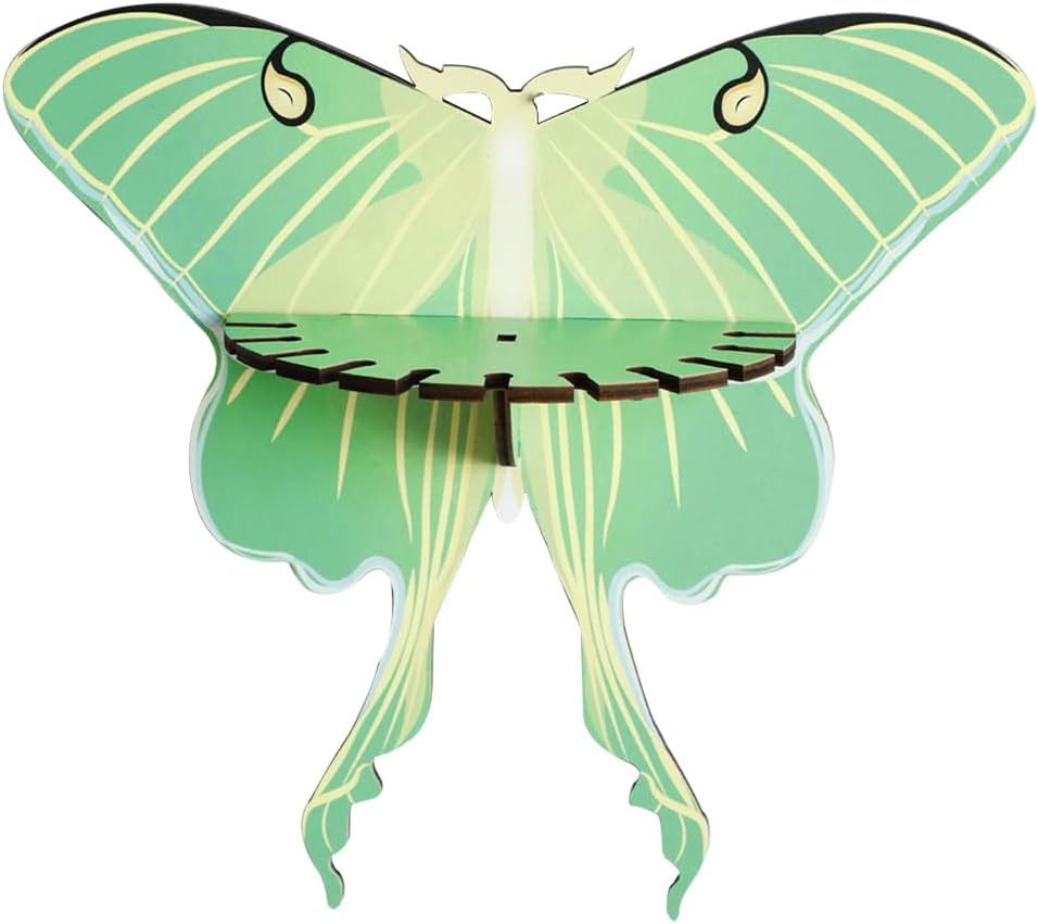 Butterfly Wall Shelf Storage Rack 1Pcs Wooden Green Butterfly Hanging Display Shelf for Stones Candles and Necklaces