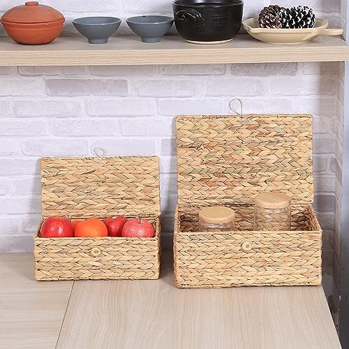Set of 2 Rectangular Wicker Storage Bins with Lid