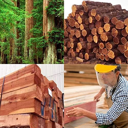 Homode Cedar Blocks for Clothes Storage Set of 10