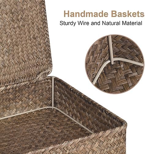 FOSSORH Set of 2 Flat Seagrass Storage Bins with Lid