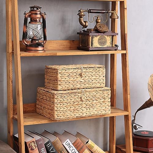 Set of 2 Rectangular Wicker Storage Bins with Lid