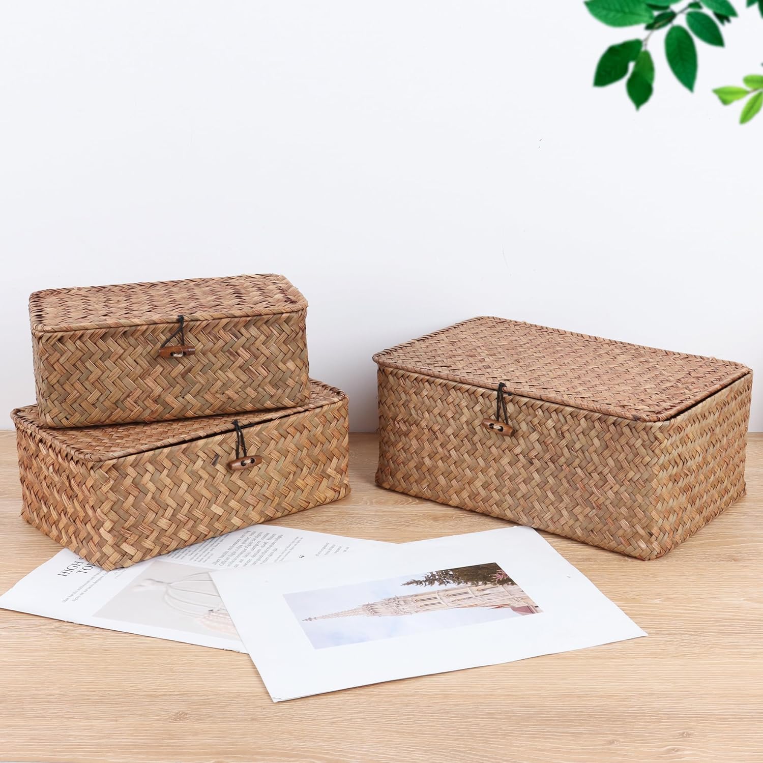 FEILANDUO Wicker Shelf Baskets with Lid 1