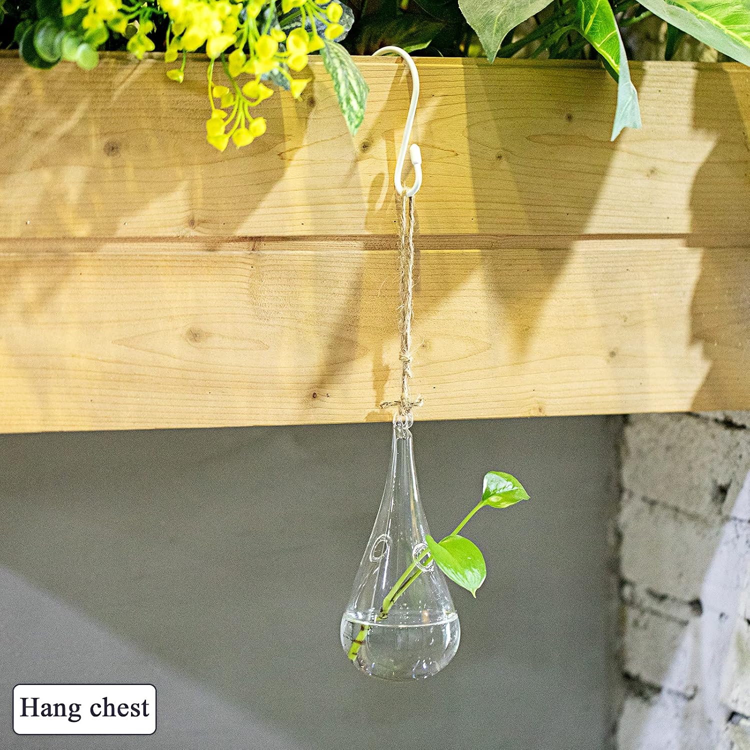 Hotop 36 Pcs S Shaped Stainless Steel Hooks