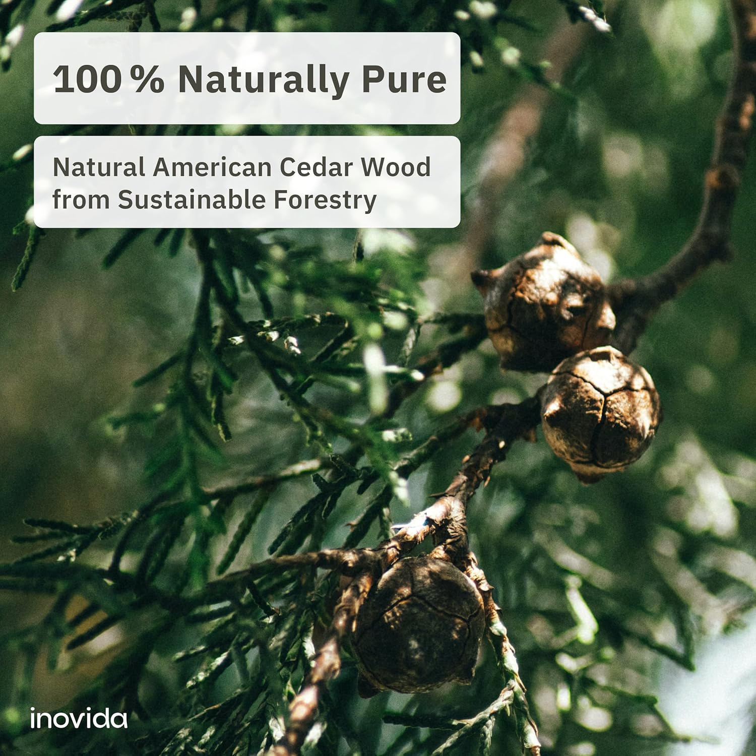 16 American Cedar Wood Blocks for Moth Protection and Fresh Scent