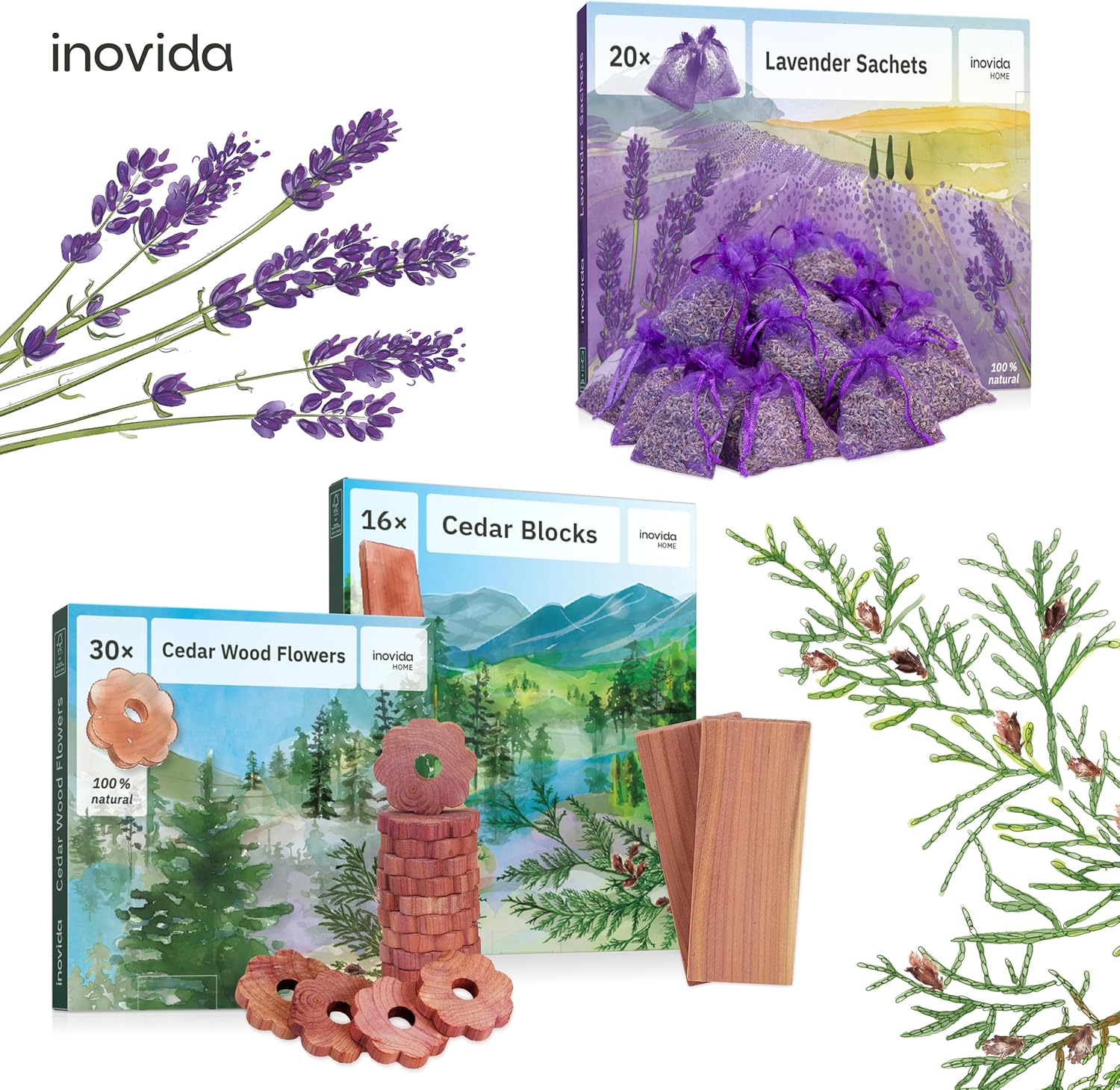 30 Natural Cedar Wood Rings for Wardrobe Freshener