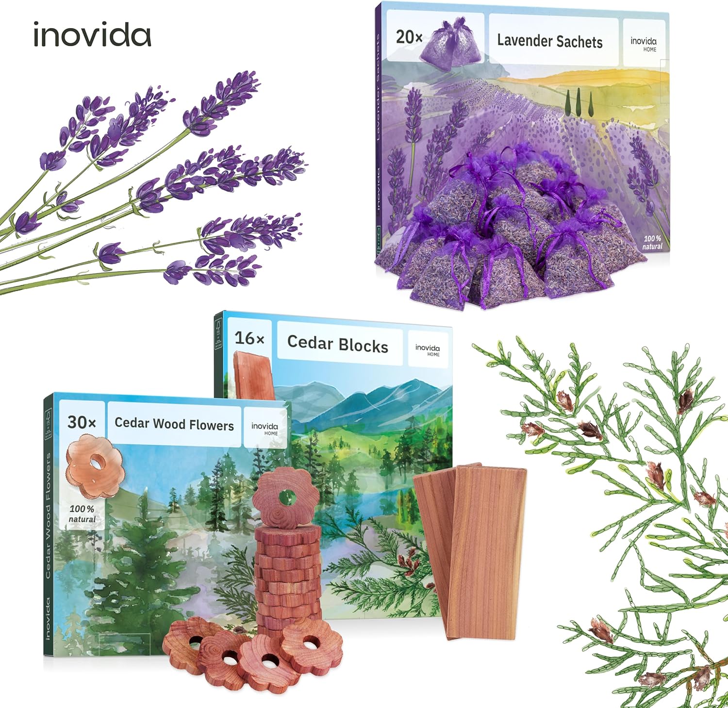 16 American Cedar Wood Blocks for Moth Protection and Fresh Scent